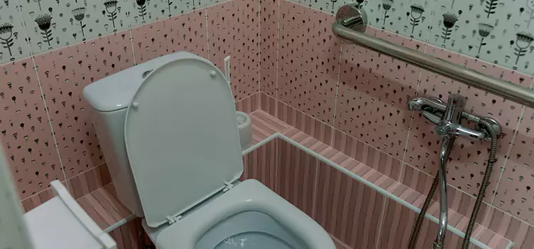 Meeting Diverse Needs With Accessible Restroom Solutions in Warren, MI